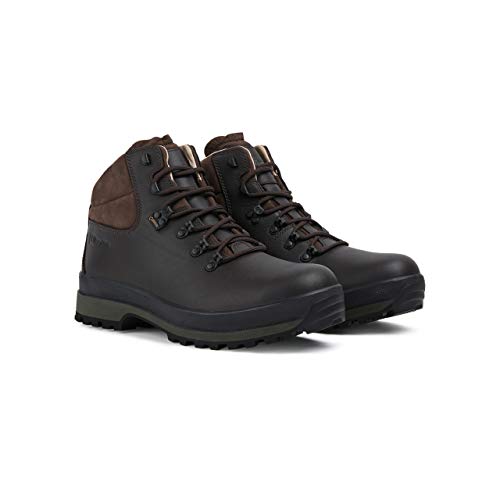 Berghaus Hillmaster II Gore-Tex Walking Boots, Botas de Senderismo Hombre, Marrón (Coffee Brown Bj8), 42 EU