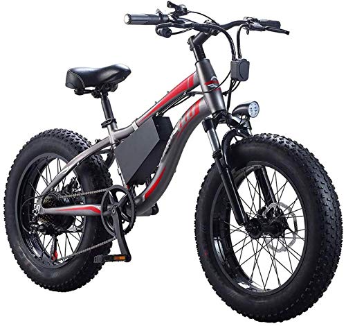 Bicicletas Eléctricas, Adultos Playa de bicicletas eléctricas, 7 velocidad del motor 250W impermeable de 20 pulgadas Frenos 4.0 Fat Tire E-bici de doble disco de motos de nieve batería extraíble ,Bici