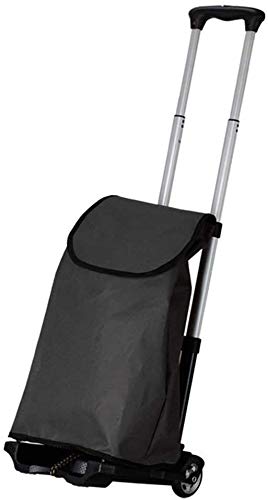 Carrito de supermercado Plegable y Ligero Carro de Compras multifunción Carrito portátil Plegable Mini Carro de Aluminio Carro de Equipaje Pequeño Carro del automóvil (Color : with Bag) Carrito de supermercado Plegable y Ligero Carro de Compras multifunción Carrito portátil Plegable Mini Carro de Aluminio Carro de Equipaje Pequeño Carro del automóvil (Color : with Bag)