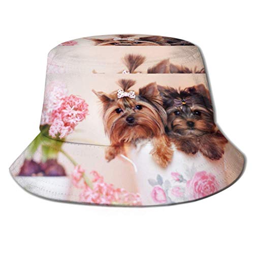 Henry Anthony Sun Cap Two Beautiful Dog Sitting Cup Cerca del Cubo Sun Hat Protection Packable Summer Fisherman Cap para Pescar, Barco de Playa