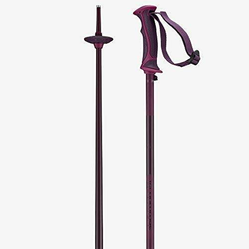Salomon Arctic Lady Bastones de esquí para mujer, 100 cm, Aluminio, Violeta (Fig), L40560400