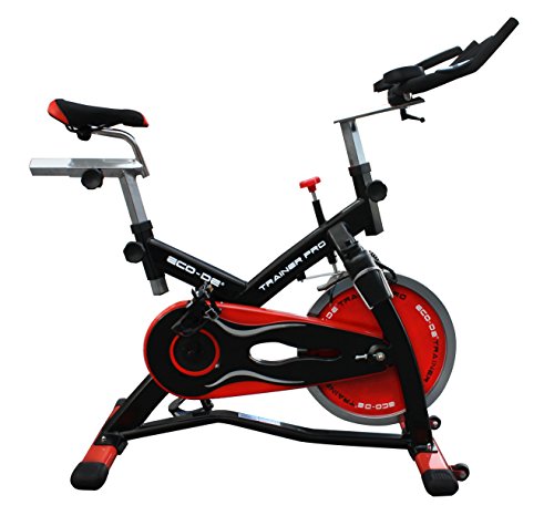 Bicicleta Spinning de alta gama Trainer Pro
