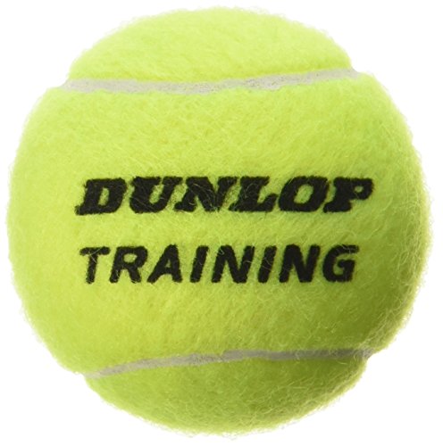 Dunlop Train Ylw 60Poly - Pelotas de tenis ( entrenamiento, 60 pelotas)