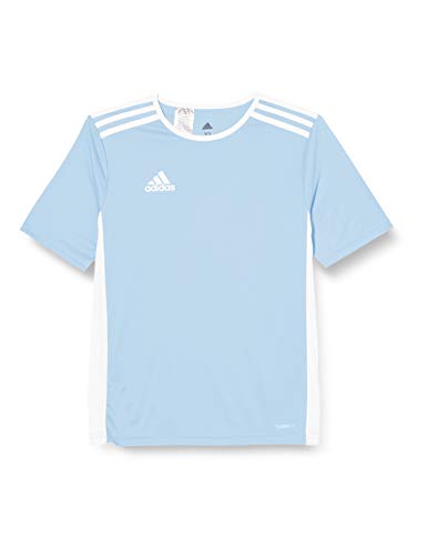 adidas Entrada 101 Camiseta de Fútbol para Hombre de Cuello Redondo en Contraste, Azul (Clear Blue/White), XS adidas Entrada 101 Camiseta de Fútbol para Hombre de Cuello Redondo en Contraste, Azul (Clear Blue/White), XS