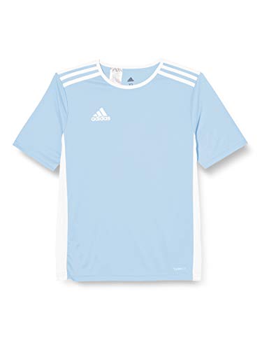 adidas Entrada 101 Camiseta de Fútbol para Hombre de Cuello Redondo en Contraste, Azul (Clear Blue/White), XS