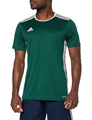 adidas Entrada 99 Camiseta de Fútbol para Hombre de Cuello Redondo en Contraste, Verde (Collegiate Green/White), 3XL