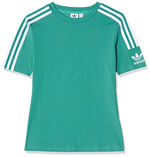 adidas Tight tee Camiseta de Manga Corta, Mujer, Verde (Future Hydro F10/White), 36