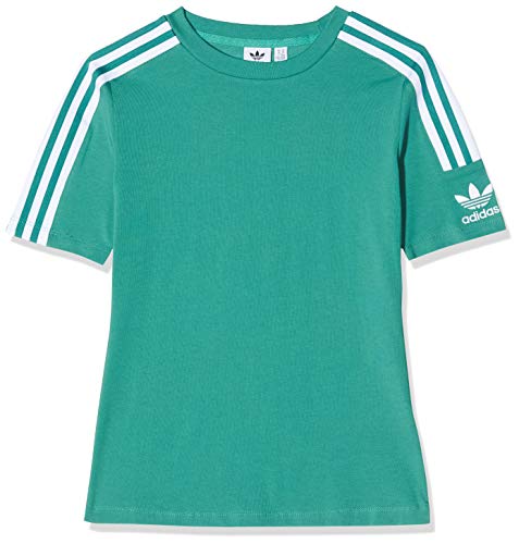 adidas Tight tee Camiseta de Manga Corta, Mujer, Verde (Future Hydro F10/White), 36 adidas Tight tee Camiseta de Manga Corta, Mujer, Verde (Future Hydro F10/White), 36
