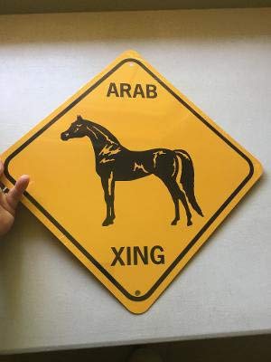 No Brands Arab Xing Signo de aluminio árabe # 1 cruce de caballos