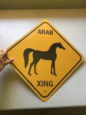 No Brands Arab Xing Signo de aluminio árabe #13 cruce de caballos