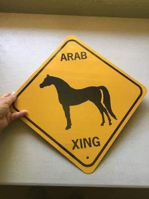 No Brands Arab Xing Signo de aluminio árabe #2 cruce de caballos