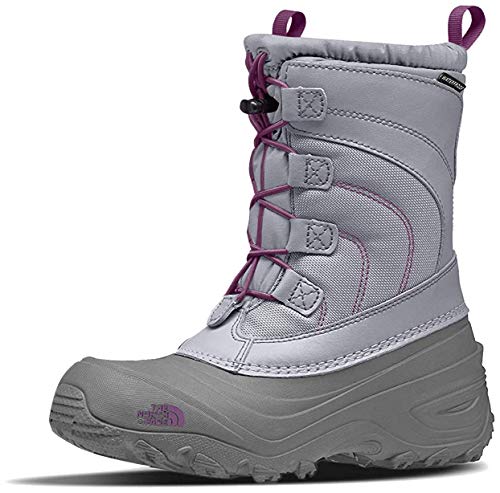 The North Face Alpenglow Lace (Toddler/Little Big Kid) Frost Grey/Wood Violet, 2