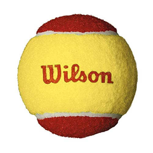 Wilson Starter Red Pelotas de tenis, pack de 12, para niños, amarillo/rojo