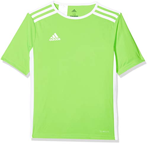 adidas Entrada 57 Camiseta de Fútbol para Hombre de Cuello Redondo en Contraste, Verde (Solar Green/White), L
