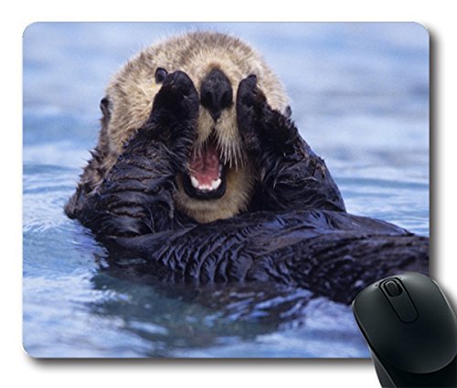 California Sea Otter Personalized Style (042401) Custom Oblong Gaming Mousepad Standard Size 250mm*200mm*3mm Mouse Pad