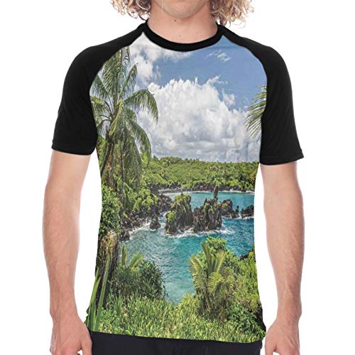 Camiseta de Manga Corta para Hombre,Relajante Laguna exótica con cocoteros Naturaleza Bosque Nubes Plantas Rocas Imprimir,Divertidas Imprimir gráfica con Cuello Redondo y diseño Creativo XXL