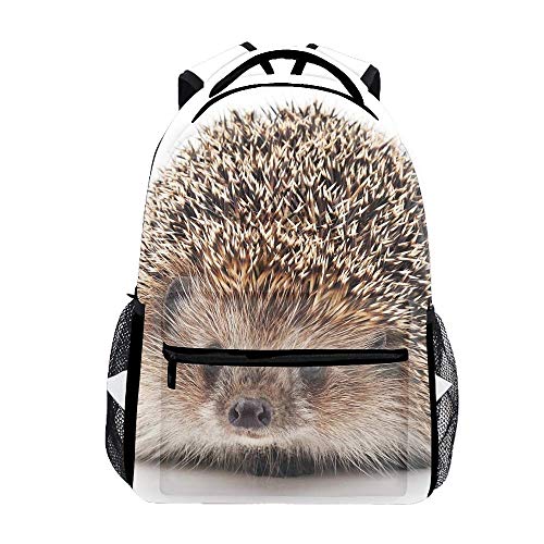 Laptop Backpacks Cute Little Hedgehog Men Women Travel Daypack Bag