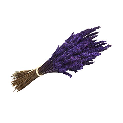 Lavanda Experience, Ramo de Flores Naturales de Lavanda Preservada de Cultivo Ecológico en la Cuenca Mediterránea, Elaborado Artesanalmente Lavanda Experience, Ramo de Flores Naturales de Lavanda Preservada de Cultivo Ecológico en la Cuenca Mediterránea, Elaborado Artesanalmente
