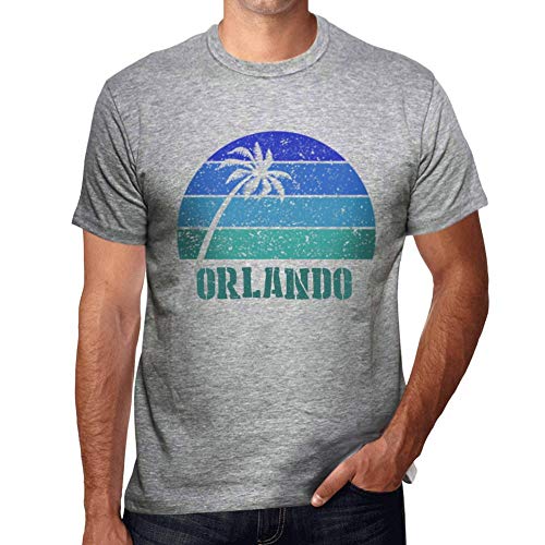 One in the City Hombre Camiseta Vintage T-Shirt Gráfico Orlando Sunset Gris Moteado