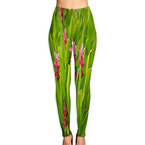 Pantalones de Yoga para Mujer,Flor de tulipán de Siam Tailandia Local,Pantalones de Entrenamiento de Cintura Alta Medias elásticas de Yoga Impresas M
