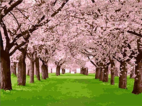 shuodade Kits de Pintura por números Cherry Blossom Avenue, Pigmento acrílico para Bricolaje, Pintura en Lienzo para Adultos, núcleo de Pintor Digital, 16 x 20 Pulgadas (sin Marco)