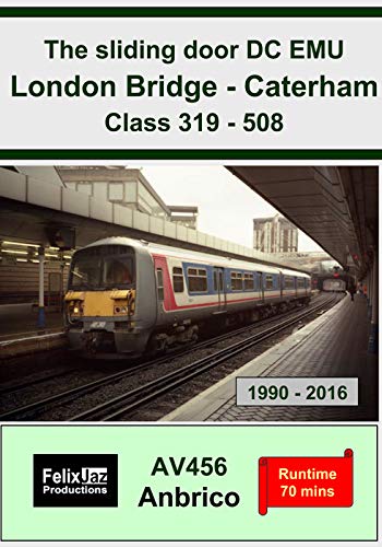 The Sliding Door DC EMU London Bridge - Caterham Class 319 - 508 (1990 - 2016)