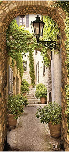 wandmotiv24 Papel Pintado para Puerta pequeño callejón en el Casco Antiguo, Puerta arqueada 100 x 200 cm (W x H) - vellón Pegatinas para Puertas, Cuadros de Puertas, Pegatinas, Deco Flat Modern M1114 wandmotiv24 Papel Pintado para Puerta pequeño callejón en el Casco Antiguo, Puerta arqueada 100 x 200 cm (W x H) - vellón Pegatinas para Puertas, Cuadros de Puertas, Pegatinas, Deco Flat Modern M1114