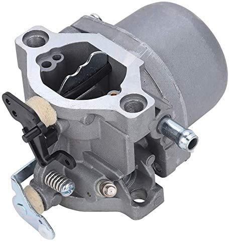 Wifehelper Motor Carburador Carb se Adapta a Briggs & Stratton 285707, 289707, 28B705, 28M707