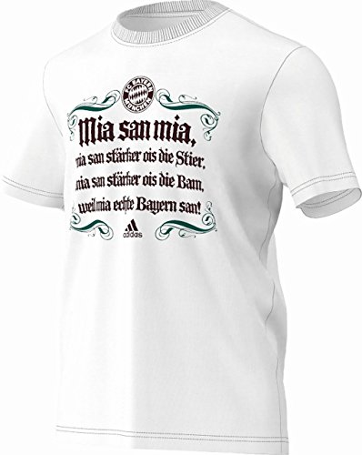 adidas T-Shirt FC Bayern München Authentic Graphic - Prenda, Color Blanco/Negro, Talla S