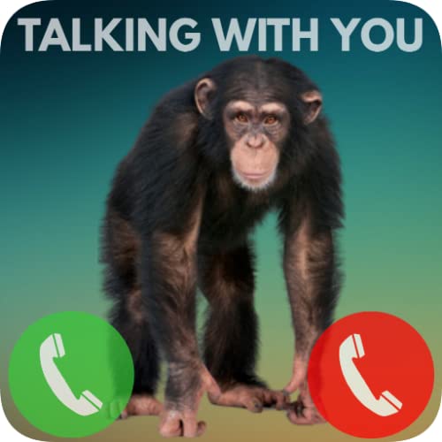 ? Chimpanzee Monkey Talking With You ? Chimpanzee Monkey Call You in App ? Real Chimpanzee Monkey Voice ? Fake Calling Prank for Kids 2021 ?