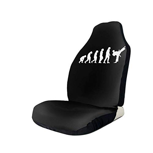 Little Yi Juego de fundas para asientos de coche Evolution Karate Protector de asiento delantero impermeable Se adapta a la mayoría de los automóviles Little Yi Juego de fundas para asientos de coche Evolution Karate Protector de asiento delantero impermeable Se adapta a la mayoría de los automóviles