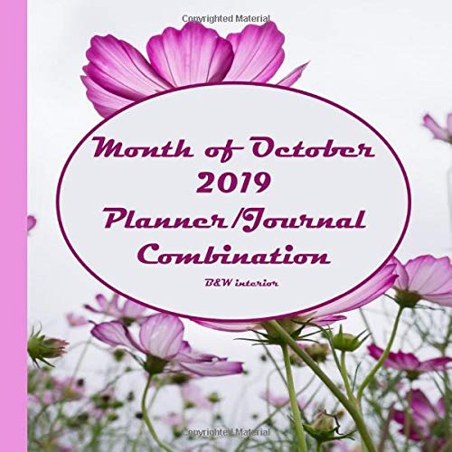 Month of October 2019 Planner/Journal Combination: Tenth Month in the lined Planner/Journal Combo Series, B&W interior, matte cover, paperback, daily ... journal, half-hour increment planner, pink