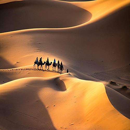 Sahara Çölü