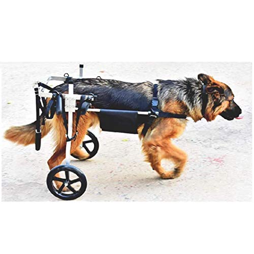 Silla de Ruedas Ajustable para Perro, Coche para discapacitados paseado con Perros, para rehabilitación de Patas traseras, Peso aproximado 15-60 kg