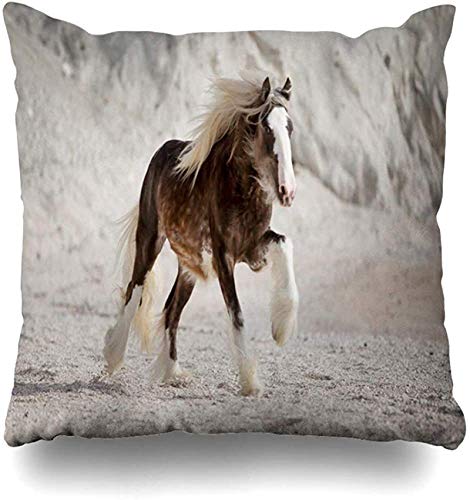 Throw Pillow Cover Walk Blue Beach Gypsy Horse Stallion COB On Sea Nature Brown Colt Drum Diseño Libre de Plumas Funda de Almohada para el hogar Decoración con Cremallera Cuadrada Funda 16×16pulgada