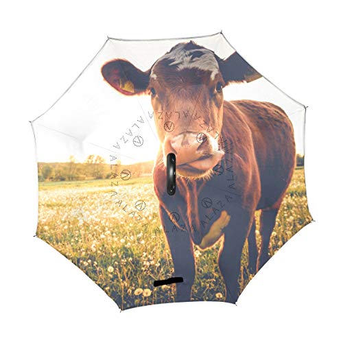 XiangHeFu Double Couche symétrie inversée parapluies Happy Vaches sur Le pré au Coucher du Soleil Pliable Protection UV Coupe-Vent Big Droit pour Voiture avec poignée en Forme de C