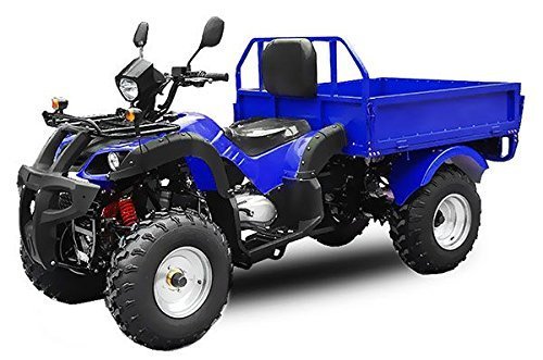 CONSTRUIDA ADMISIÓN EN CALLE EEC Jinling Dumper 150cc Automático Volquete Quad ATV - Azul