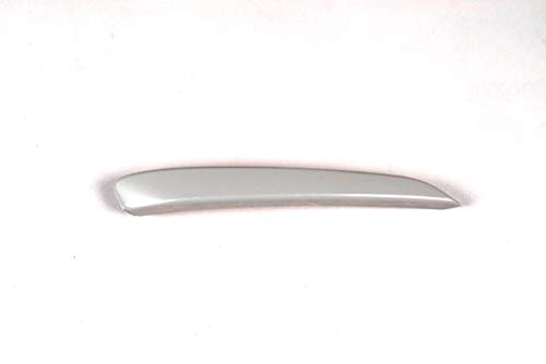 GoGoEu Tira Protectora del paragolpes Delantero para Astra H 2004- Oe 1400768, versión pintable.
