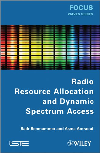 Radio Resource Allocation and Dynamic Spectrum Access (English Edition)