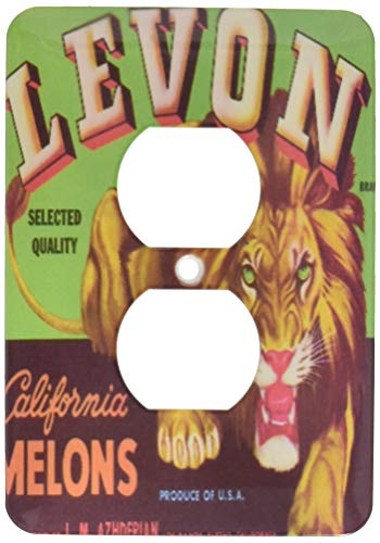 Solo dúplex receptáculo pared placa de pared salida Levon melones California león masculino con ojos verdes creciendo 2 enchufe cubierta