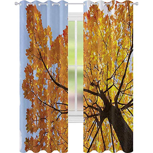 Cortinas de bloqueo de luz, árbol de arce de otoño desde abajo hasta arriba Vista Ambiental Flora, impresión de noviembre, W52 x L84 cortinas con ojales para tratamiento de ventanas, naranja azul