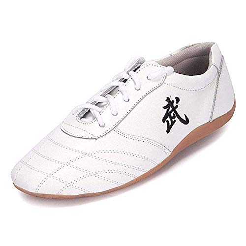 GHJUH Zapatos De Taekwondo Taichi Artes Marciales con Cordones Zapatillas De Boxeo Zapatos De Karate para Taichi Artes Marciales Zapatillas De Gimnasio Equipo De ProtecciÓn para Los Pies