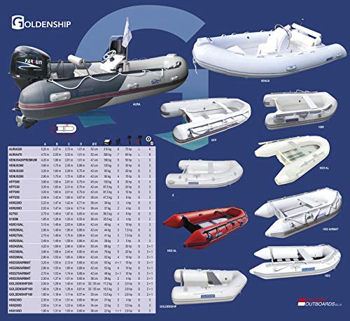 Goldenship EMBARCACION Semi-RIGIDA Venus 420 Premium para 5 Personas 4,20 x 1,96 MTS