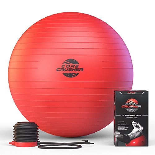 OFERTA ESPECIAL DE HOY - Pelota de Ejercicios Suiza de 65cm con pompa - La mejor para estabilidad y tonificación de sus abdominales - para CrossFitness, Yoga y Pilates - Fabricada con material anti ruptura - Incluye una guía digital gratis con más de 20 e