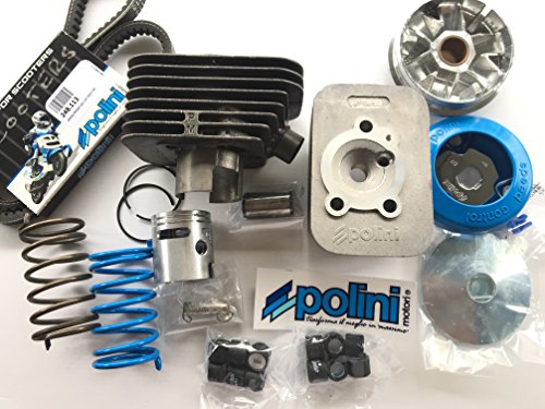 Polini - Kit completo de motores para Piaggio Ciao compuesto de grupo térmico SP10 D.43 cabecero motor, kit variador par muelles de contraste y correa variador