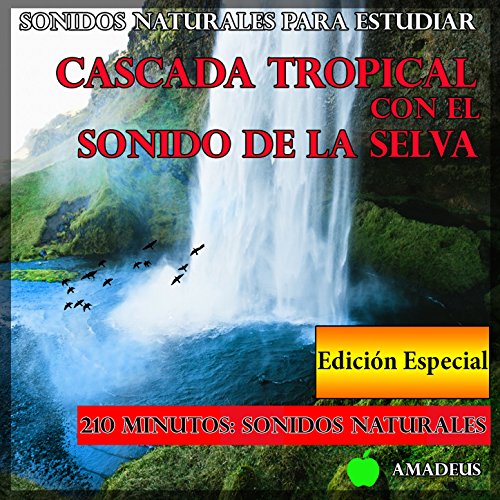 Sonidos Naturales para Estudiar: Cascada Tropical Con el Sonido de la Selva: Edición Especial