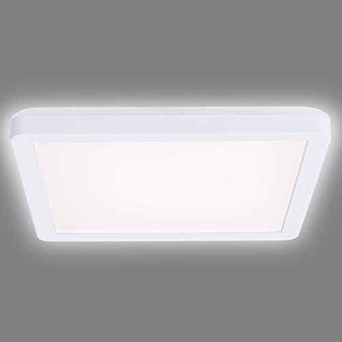 Navaris Lámpara LED de techo cuadrada - Iluminación en blanco neutro para cocina pasillo baño oficina - Foco con bombillas de bajo consumo - Blanca