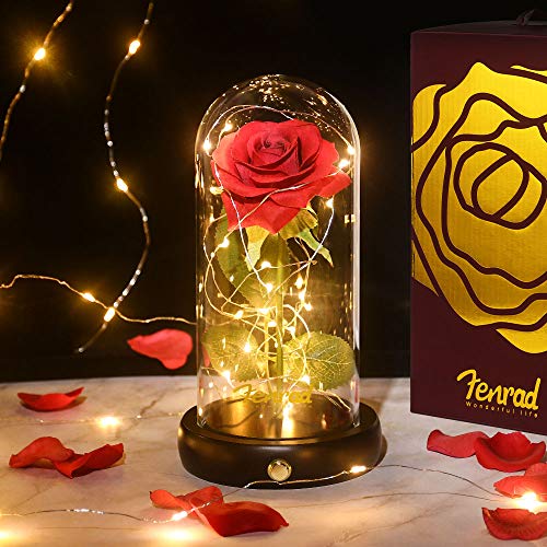 Rosas Encantada Bella y la Bestia Eterna Flor, Rosa de Seda Luz 20 LED Elegante Cúpula de Cristal con Base Pino, Regalo para día de Navidad San Valentín Madre Boda Aniversario Cumpleaños