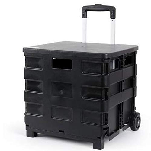 Trolley Plegable portátil Carros de Servicios públicos - Louis Moda carros de plástico Plegable portátil Compras pequeño baúl del Coche Conveniente su Vida Uso Multifuncional (Color : G2)