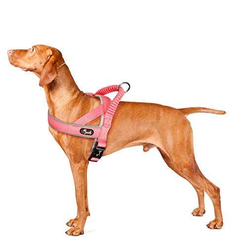 Arnés para Perros Cómodo y Suave Neopreno de Nylon Acolchado Dog Harness Reflectante Ajustable con Manija Superior Bungee para Caminar Adiestramiento Viajes Fácil de Usar (Rosado,L)